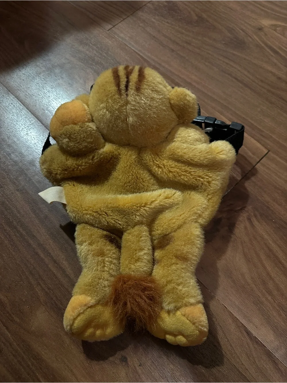 Disney rare find